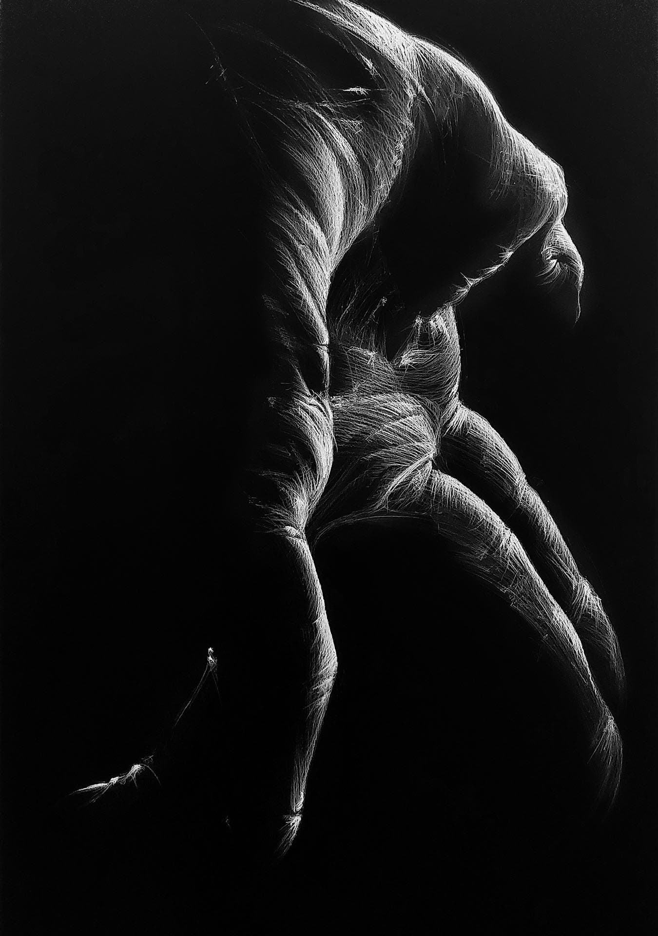 Small image of the artwork