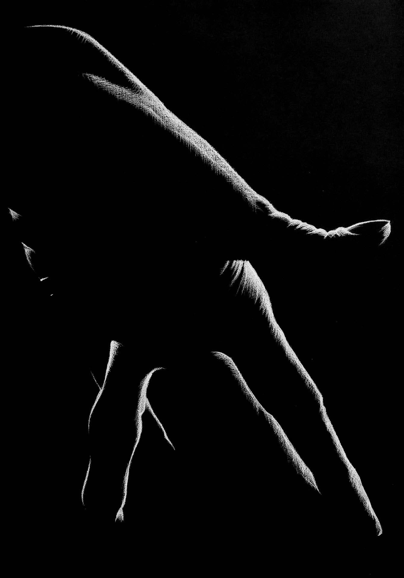 Small image of the artwork