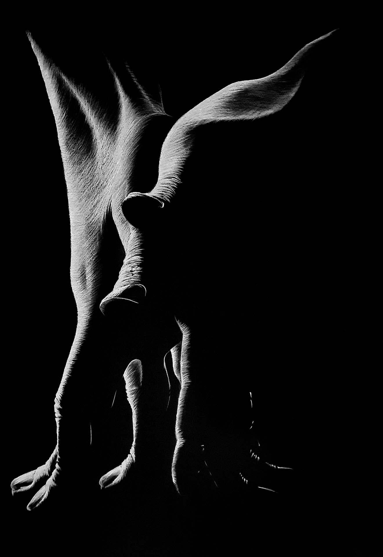 Small image of the artwork