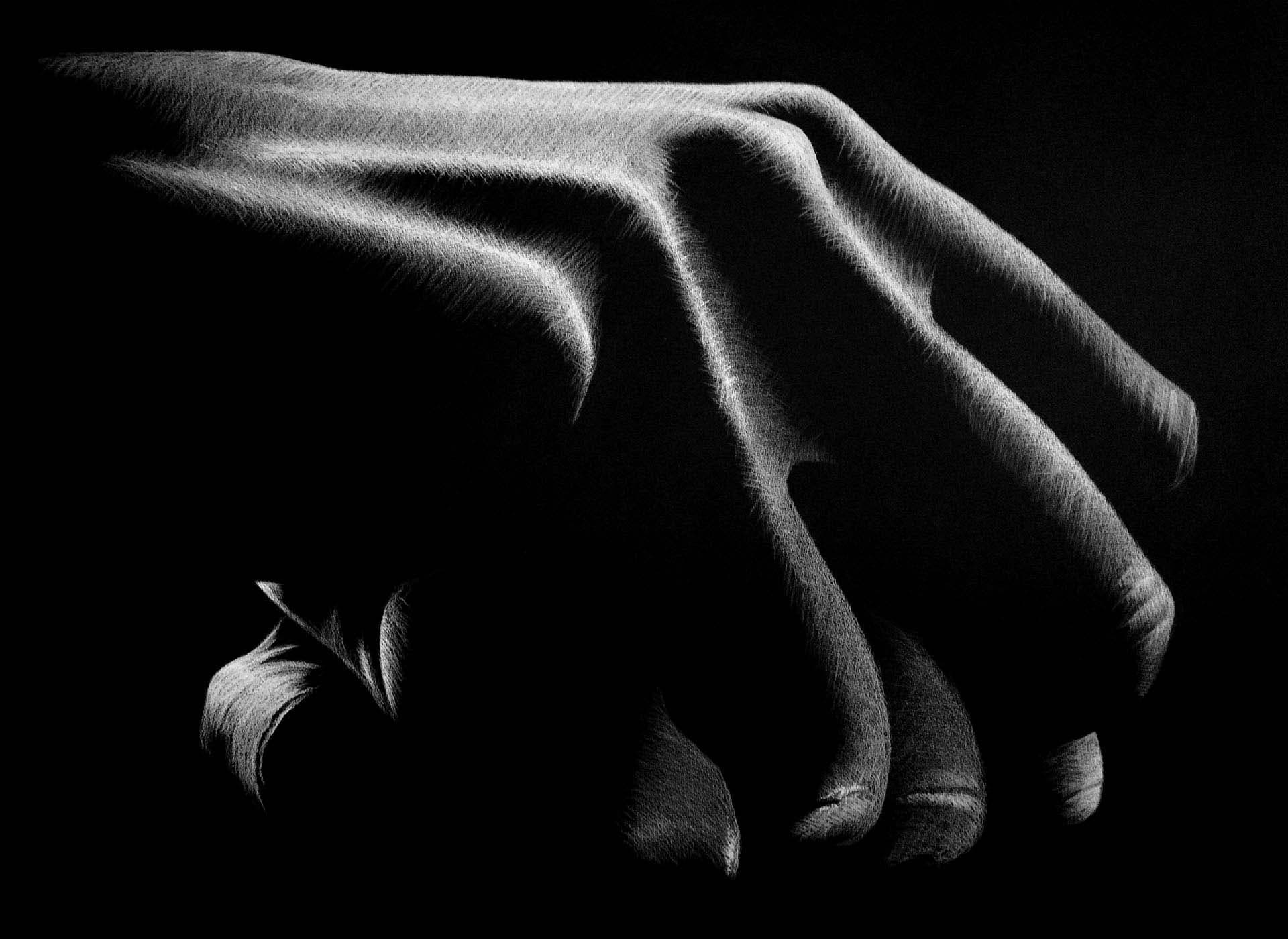 Small image of the artwork