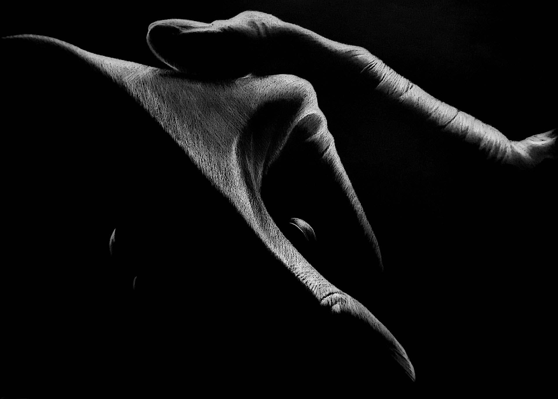 Small image of the artwork